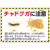 チャドクガに注意のポスター