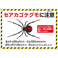 セアカゴケグモに注意のポスター