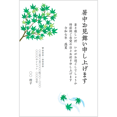 暑中見舞い 青もみじ