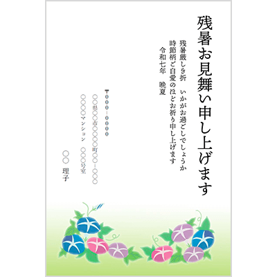 残暑見舞い 朝顔